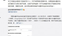 导演娱乐圈爆料的小说有哪些,揭秘那些被改编成热门小说的影视作品