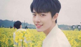 肖战替身爆料视频大全下载,揭秘幕后真相与幕后故事