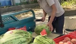 朝堂吃瓜第二十三集免费观看,宫廷秘闻大揭秘，免费观看精彩不容错过