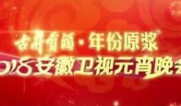 安徽卫视在线观看,精彩节目尽在掌握