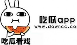 吃瓜网app下载网红黄,吃瓜网APP带你领略网络红人魅力