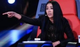 老梁爆料那英视频,老梁爆料视频背后的惊人真相