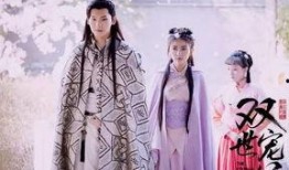 双世宠妃在线观看高清,穿越时空的甜蜜邂逅