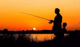 娱乐吃瓜钓鱼视频下载,一键下载收藏攻略