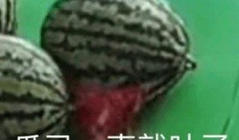 免费吃瓜头像,带你领略潮流趣味