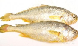 小黄鱼爆料新闻视频大全,新闻视频大全精彩瞬间汇总