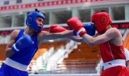 吃瓜娱乐拳击比赛,吃瓜群众眼中的精彩对决