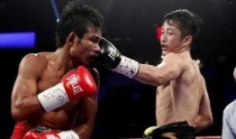 吃瓜娱乐拳击比赛,吃瓜群众眼中的精彩对决