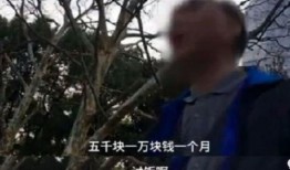 老大爷爆料要饭视频播放,老大爷爆料视频引发热议