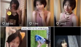 抖音名媛爆料视频大全最新,揭秘网红圈层真实生活