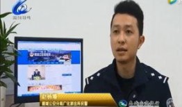 秦锋爆料林先生视频,揭秘背后惊人真相