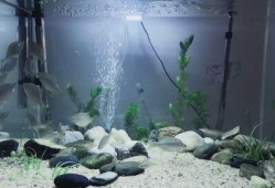 农村小黄爆料最新,揭秘乡村发展新动向