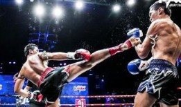 吃瓜娱乐拳击比赛,吃瓜群众眼中的精彩对决