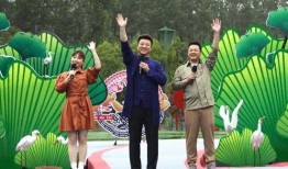 苗阜最新爆料师兄弟视频,独家视频曝光惊人内幕