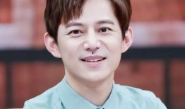 娱乐圈爆料何炅,揭秘明星背后的故事