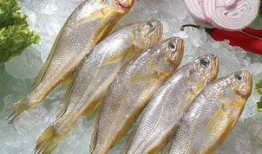 小黄鱼爆料新闻视频大全,新闻视频大全精彩瞬间汇总