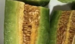 51吃网瓜网红有哪些,揭秘当下热门网红风云录