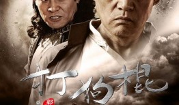 打狗棍电视剧全集在线观看爱奇艺,传奇家族的兴衰传奇